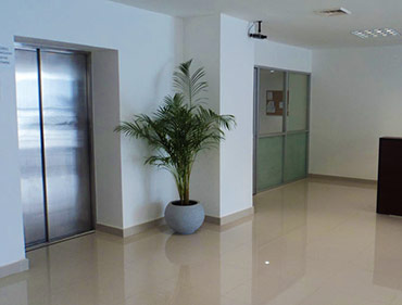 Construccion de Hospital General en Playa del Carmen SECRETARIA DE SALUD